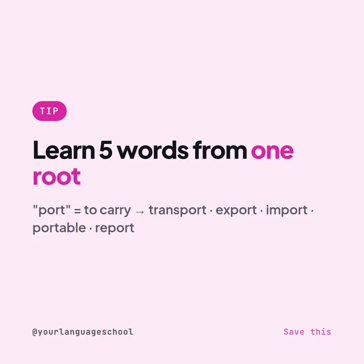Example Instagram tip post for a language school: learn five words from one root, port, meaning to carry