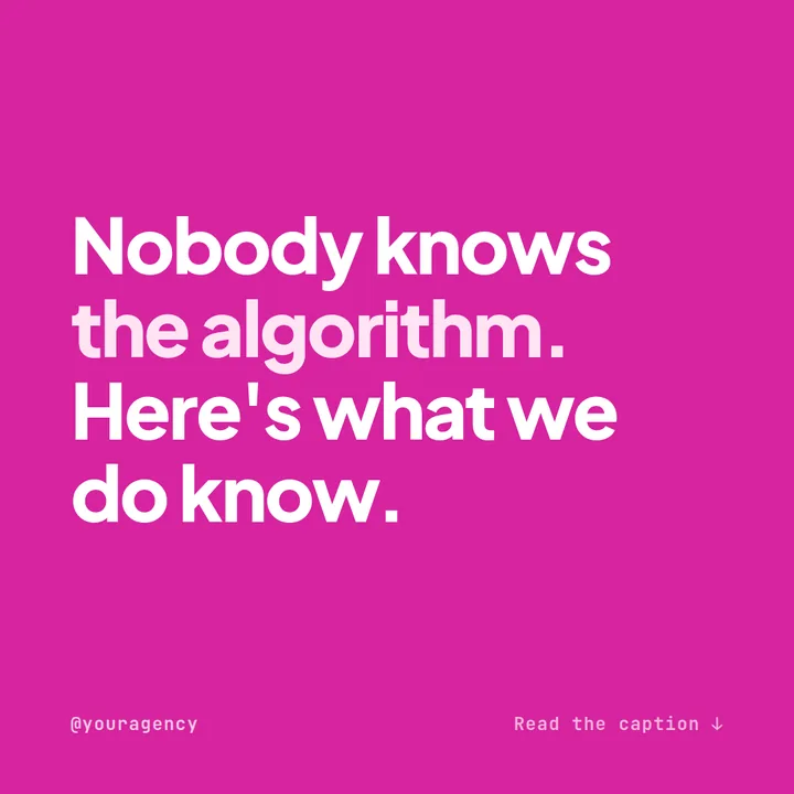 Example bold hook Instagram post for an SEO agency on a magenta background reading nobody knows the algorithm, here's what we do know