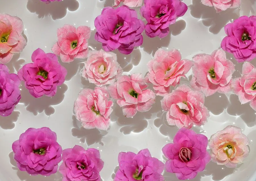 Overhead flat-lay of pink and blush rose blooms floating in a bath of water with soft sparkling highlights, an example of the calming, sensory-focused imagery that performs well alongside a wellness clinic hook