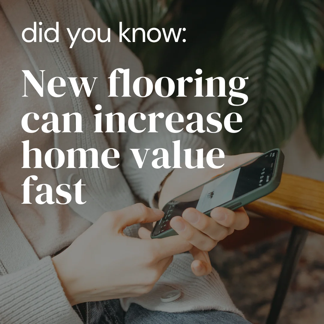 Maxolot-generated Instagram post — Text overlay fact
