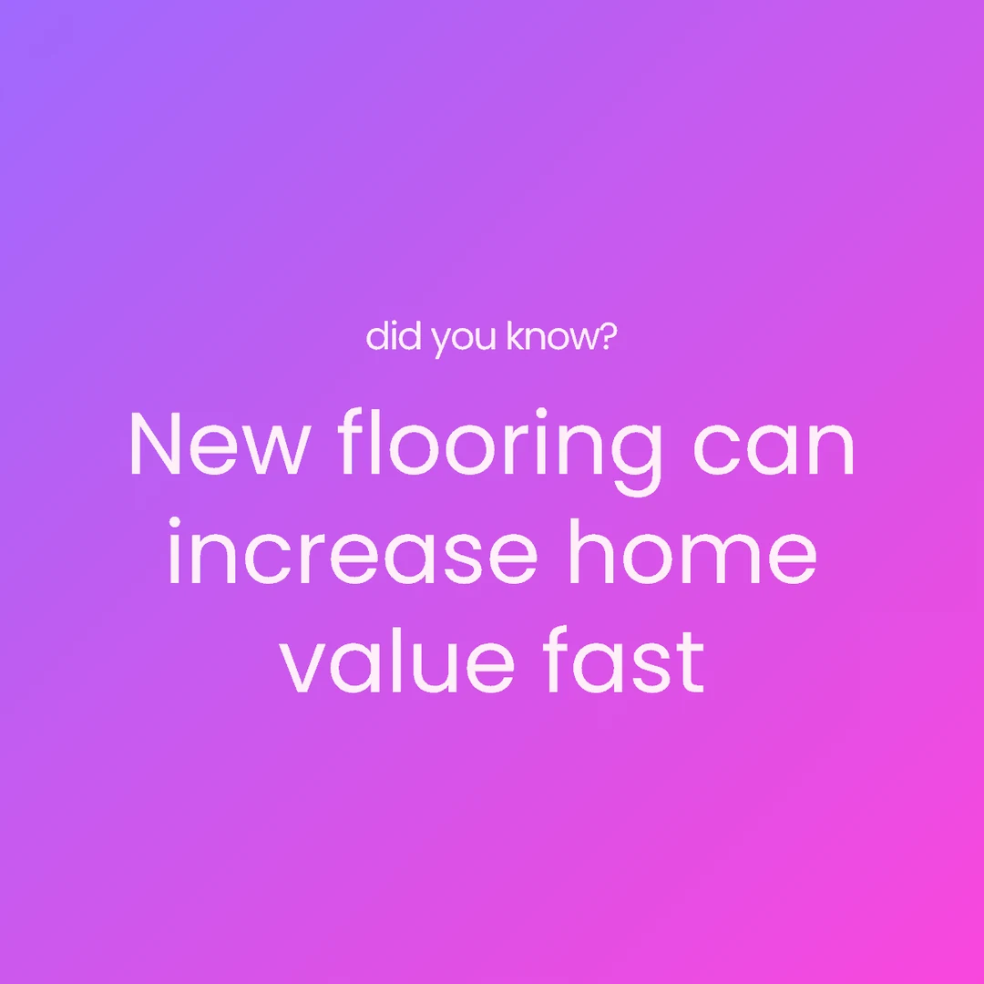 Maxolot faceless Instagram post — bold gradient fact card, an example of faceless Instagram content