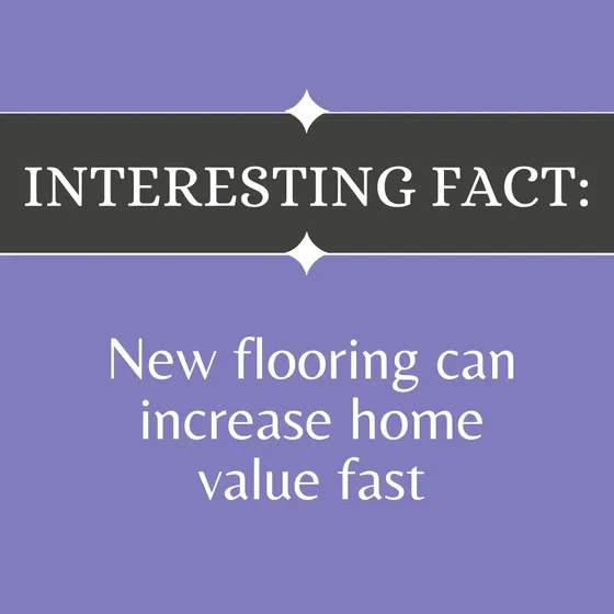 Instagram educational fact post created with Maxolot for a content plan