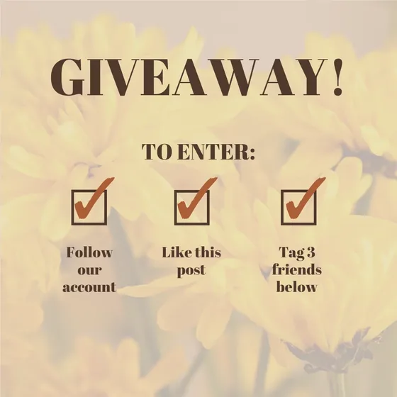 Giveaway slide created with Maxolot for a weekly Instagram content plan