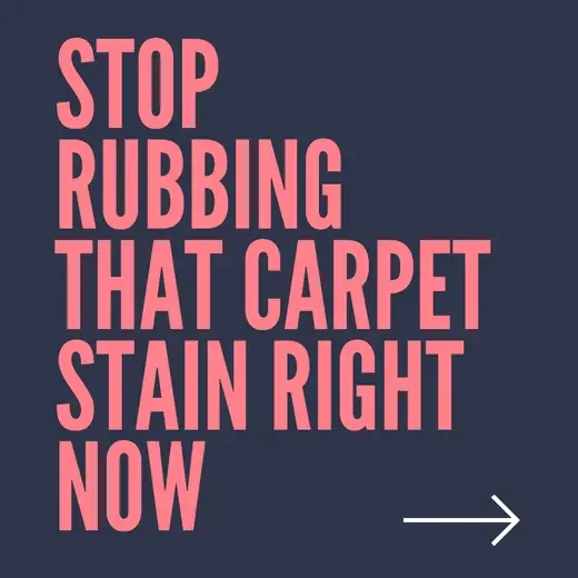 AI Instagram post generator example for a carpet cleaning business: ‘Stop rubbing that carpet stain right now’, created with Maxolot's Instagram post maker